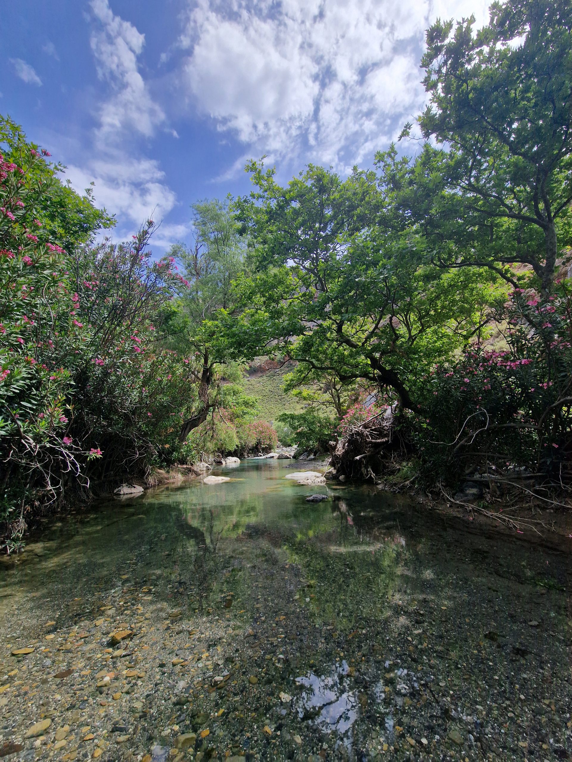 20240515_113736 20240515_113736