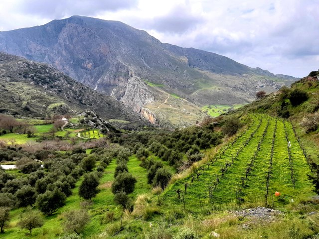 Życie on-line – czas zarazy