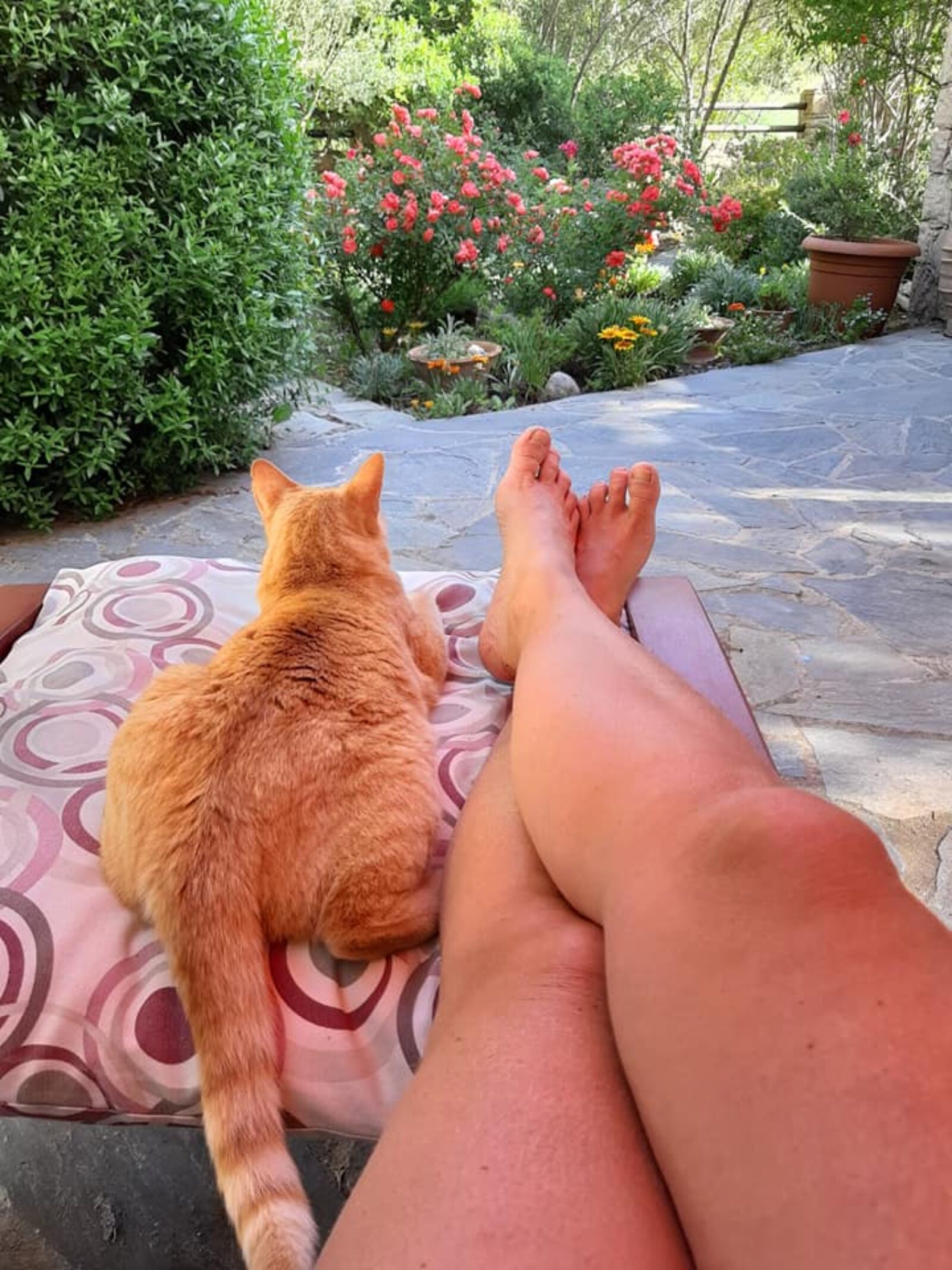 105549135_2699581683664172_125422052012725293_n