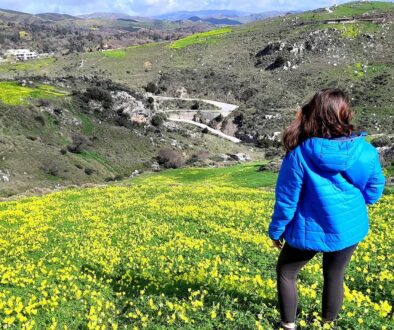 ja na łące szczawiku