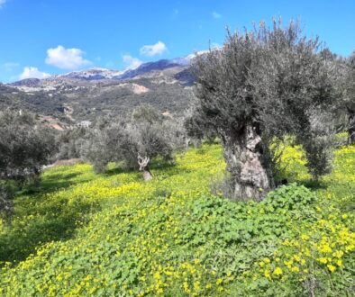 czy przeprowadzać się na kretę wiosna
