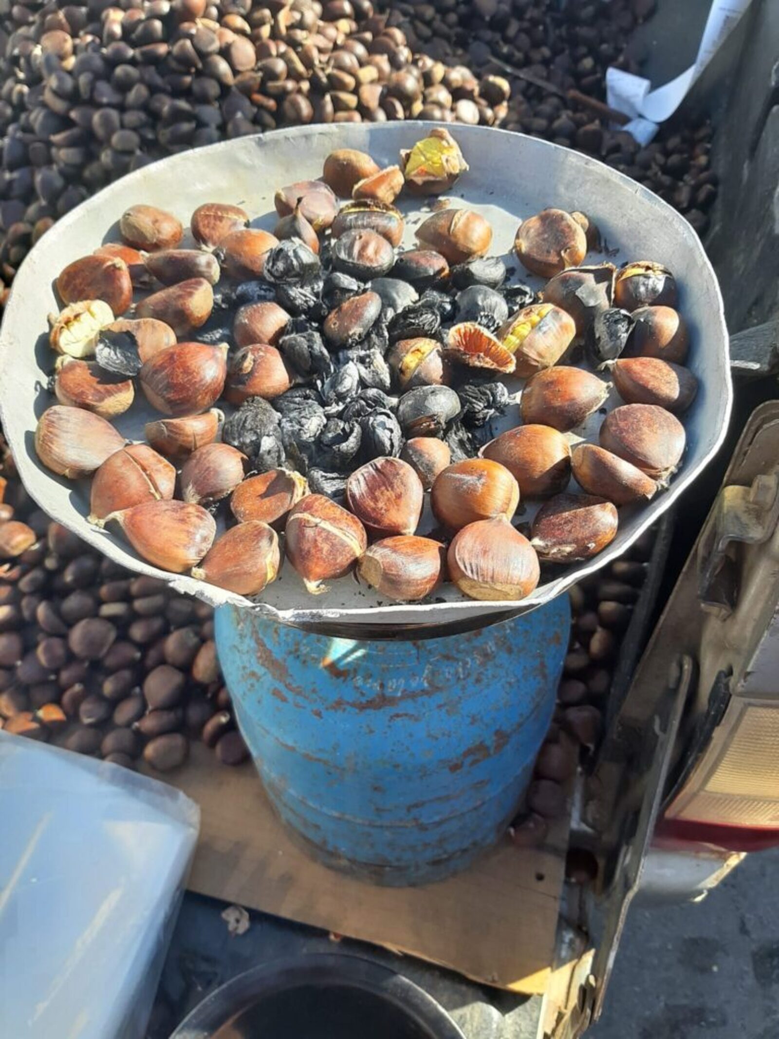 316162693_503392788481864_3028754063716879463_n