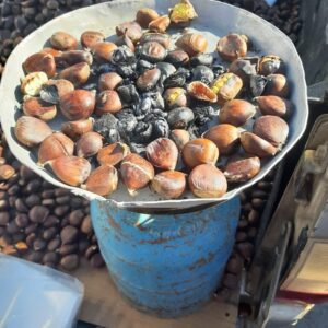 316162693_503392788481864_3028754063716879463_n