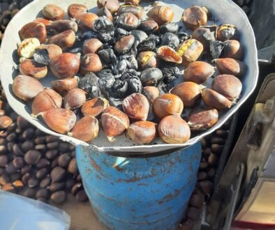 316162693_503392788481864_3028754063716879463_n