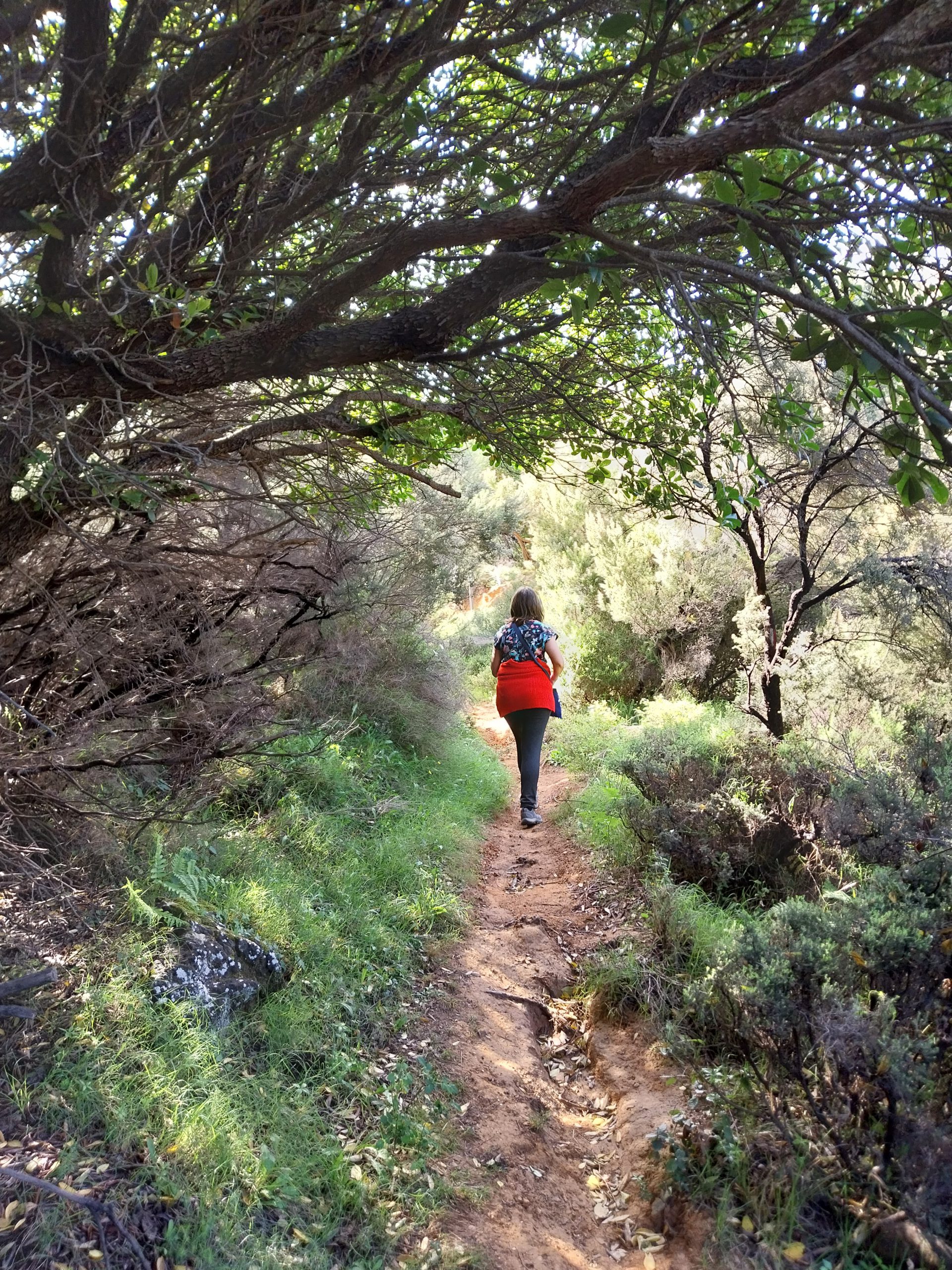 20240409_162609 20240409_162609