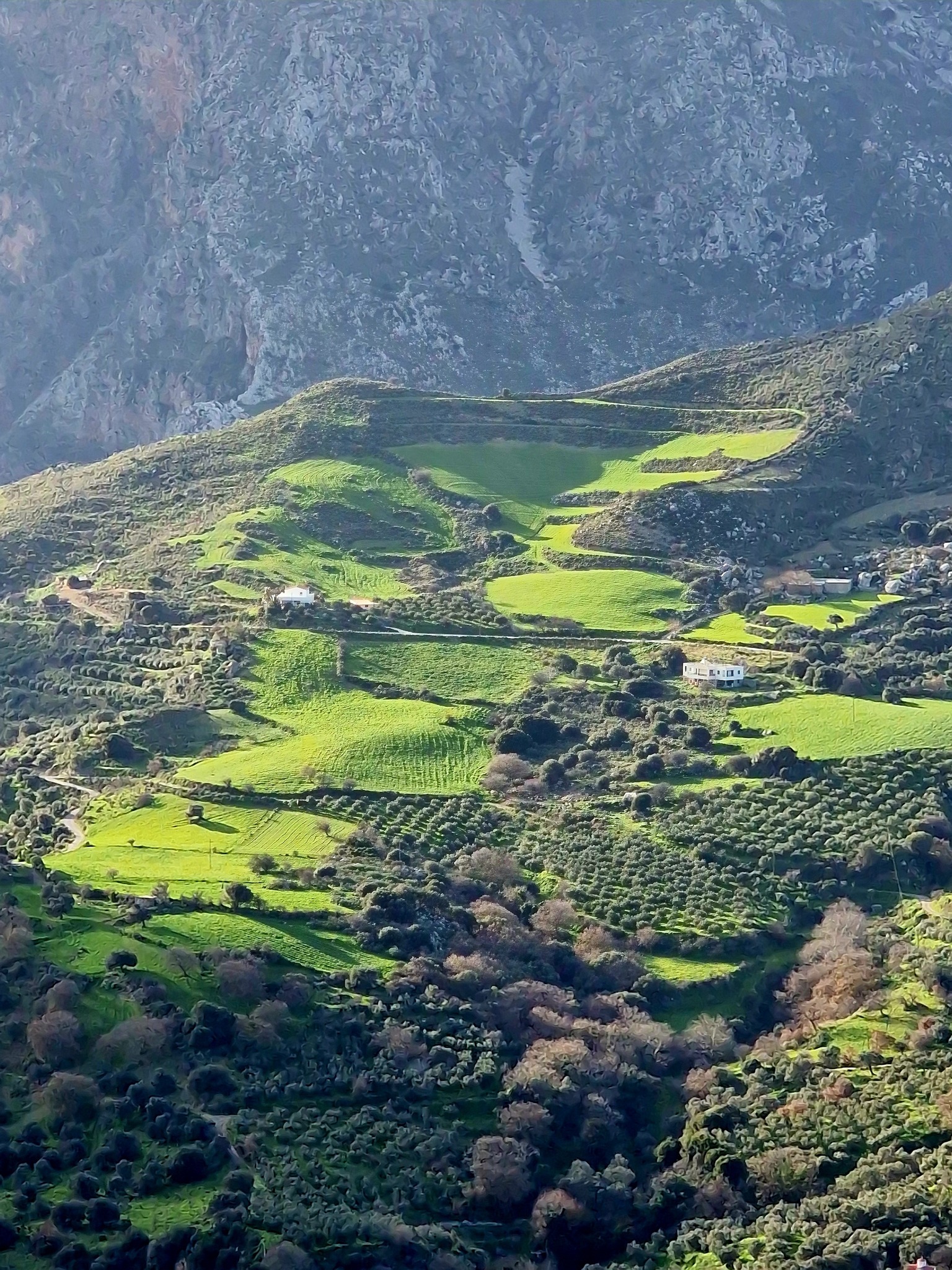 14032502-1 14032502-1