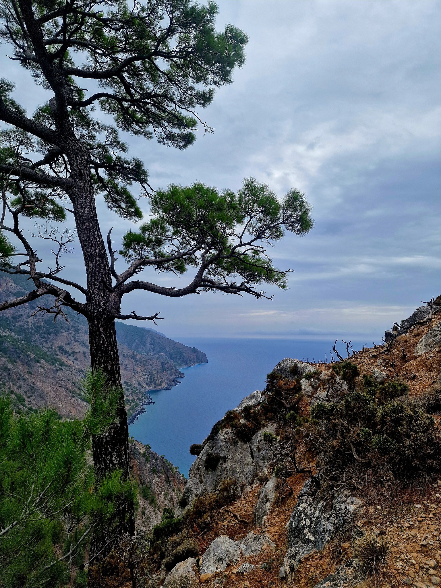 U Eliasza na obozie wędrownym