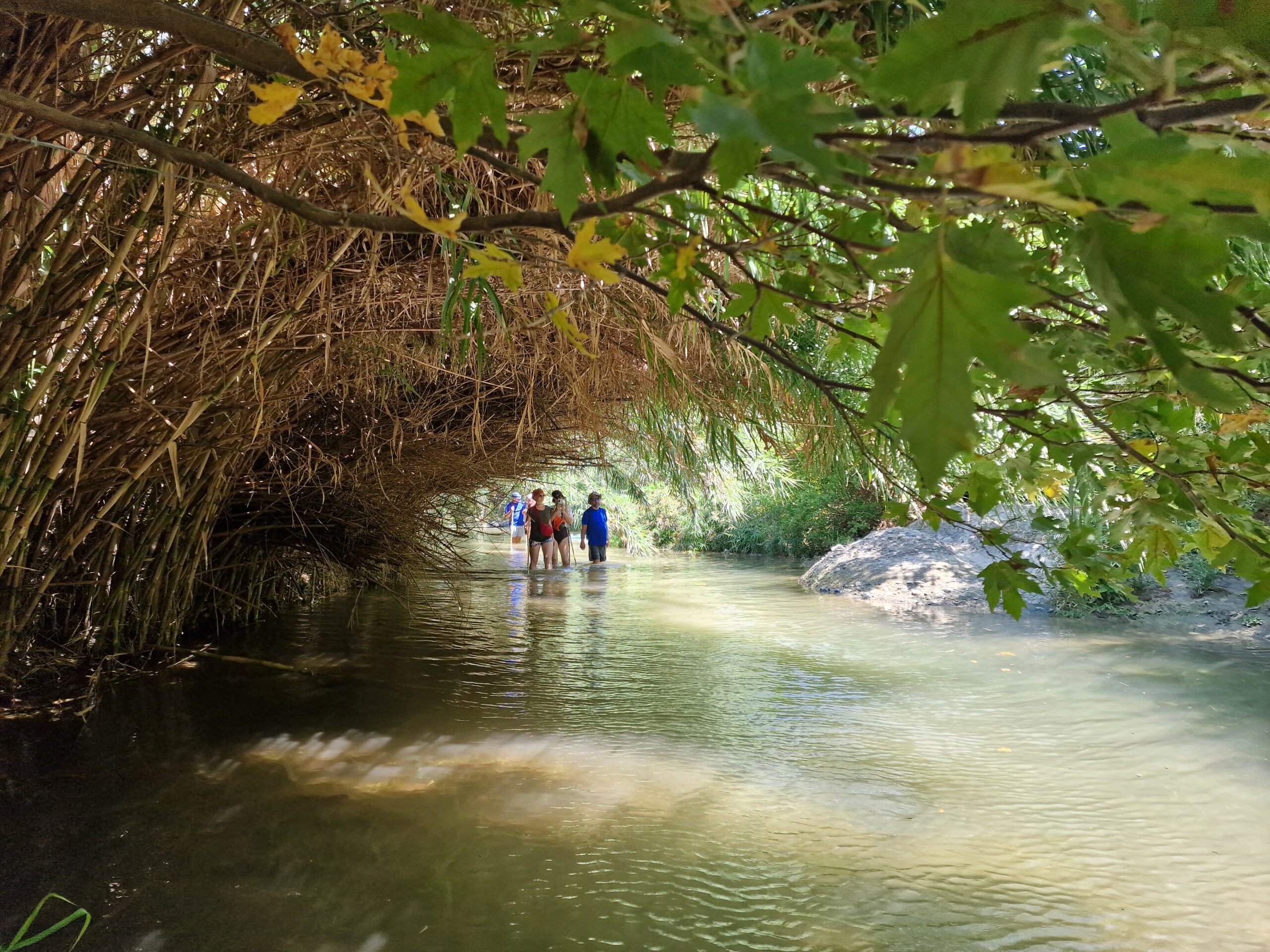 20250906_132652 20250906_132652