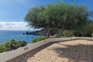 virginmarytaras virginmarytaras