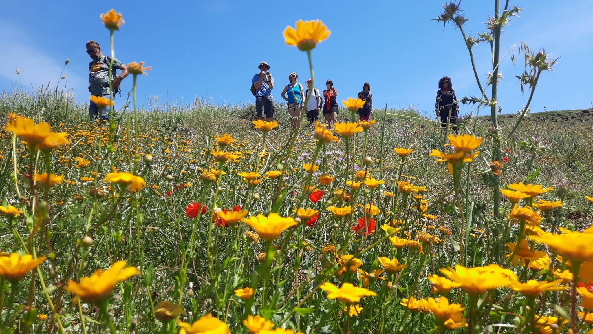 Tydzień Wiosna na Krecie